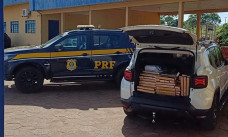 Homem é abordado pela polícia e confessar transportar quase 370 quilos de maconha