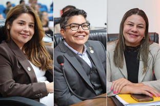 Câmara cria Comissão dos Direitos da Mulher em meio à alta de feminicídios