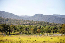 Prazo para adesão ao PSA Conservação é prorrogado em Mato Grosso do Sul