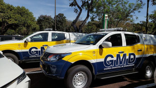 Mulher é detida após comprovantes falsos de pix em hospital veterinário