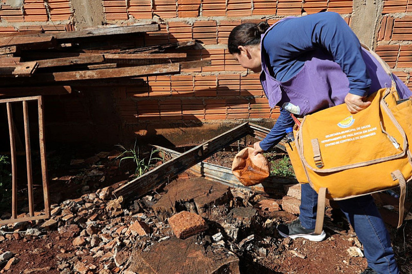 Dourados investiga 3ª morte por suspeita de chikungunya, informa Comitê