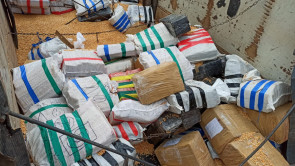 PRF apreende mais de 9 toneladas de maconha entre Indápolis e Deodápolis