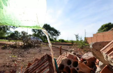 Com 7.208 notificações, chikungunya mantém alta circulação em Dourados