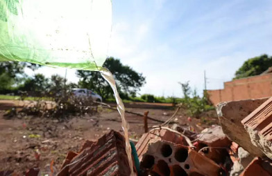 Com 7.208 notificações, chikungunya mantém alta circulação em Dourados