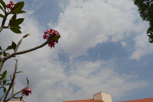 Domingo de sol com nuvens e chances de chuva isolada em Dourados