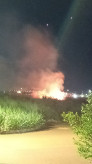 VÍDEOS: Raio cai em área de vegetação e provoca incêndio na Vila Roma
