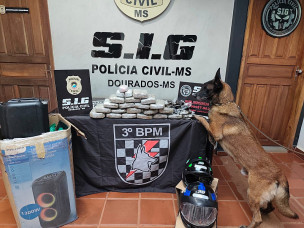 Polícia cumpre mandados em investigação que apura tráfico de drogas