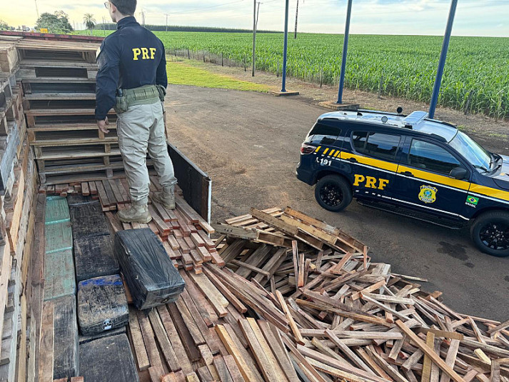 Com auxílio de cães farejadores, polícia apreende 1,1 tonelada de maconha em carga de paletes