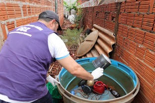 Boletim aponta 8.655 notificações de chikungunya e 3.948 confirmações