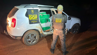 Polícia apreende 1t de maconha e recupera veículo roubado na fronteira
