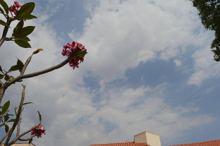 Junho começa com sol, nuvens e névoa em Dourados; tempo fica firme hoje