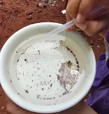 Chikungunya faz 14ª vítima em Dourados; homem de 68 anos morreu após quase 20 dias internado