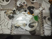 Mulher é presa tentando entrar na PED com drogas no sutiã