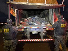 DOF apreende 2 toneladas de maconha escondidas em carga de milho