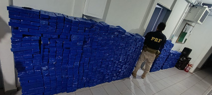 Motorista do Paraná é flagrado transportando quase 1 tonelada de maconha em MS
