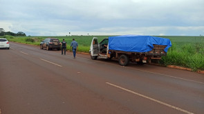 Defron apreende aproximadamente 4 toneladas de maconha entre Dourados e Itaporã; 3 pessoas foram presas