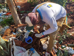 Mais 1,2 mil imóveis são vistoriados agentes encontram 4 focos do Aedes