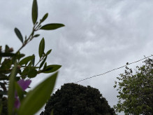 Previsão indica sol, mas sábado começou nublado e com chuva em Dourados