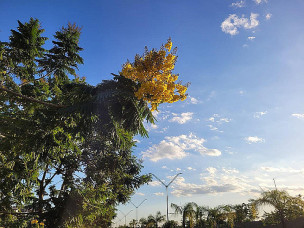 Domingo de sol entre nuvens e máxima de 28ºC em Dourados; tempo fica firme
