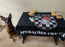 Foto: Sidnei Bronka/Ligado Na Notícia