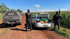 Funcionário de fazenda encontra veículo com 1 tonelada de maconha na fronteira