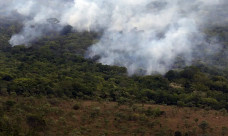 Emissão global de gases por incêndios é a menor em 24 anos