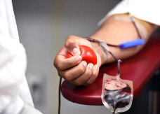 Projeto de Lei quer permitir 2 folgas por ano para doadores de sangue