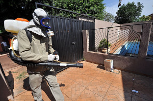 Chikungunya segue em desaceleração e notificações despencam em Dourados