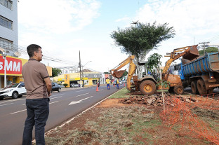 Canteiros centrais de 4 pontos da cidade passam por revitalização