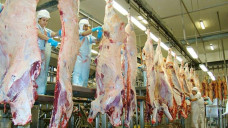 Tarifa dos EUA tem impacto menor que o esperado para o agro de MS