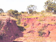 Degradação do solo identificado em propriedade rural entra na mira do MP
