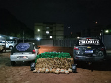 Motorista é preso com quase R$ 1 milhão em drogas durante operação na Capital