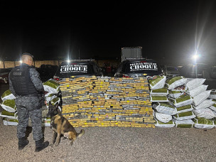 Ação apreende 1,2 tonelada de maconha em bunker em Campo Grande