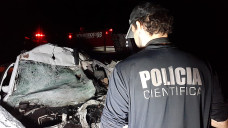 Anta atravessa BR-267, provoca colisão frontal e deixa 2 mortos em Rio Brilhante