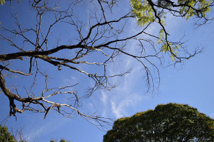 Segunda-feira de poucas nuvens e calorão de 39ºC em Dourados