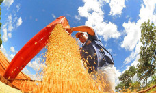 IBC-Br recuou 0,6% em junho, diz Banco Central