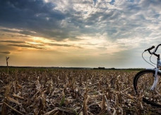 Foto: Geone Bernardo