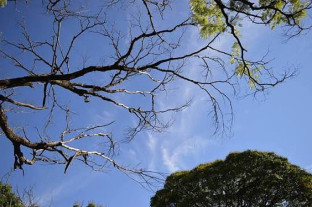Inmet renova alertas de baixa umidade, tempestade e vendaval em Dourados