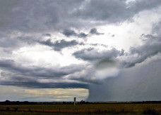 Foto: Saul Schramm/Portal MS