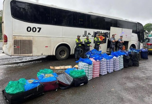Polícia paulista flagra 746,8 quilos de folha de coca em ônibus “sul-mato-grossense”