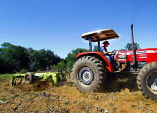 Foto: Saul Schramm/Portal MS