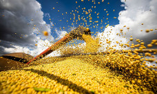 Produção agrícola brasileira superou R$ 927 bilhões em 2025