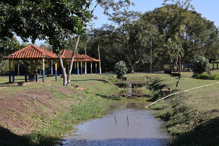 Arborização do Parque Antenor Martins será ampliada neste sábado