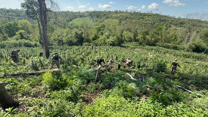 Quase 30t de maconha que seriam enviadas ao mercado brasileiro são apreendidas