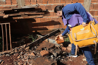 Mutirão contra o Aedes no Jóquei Clube começa na próxima segunda-feira
