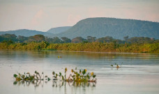 Cerrado brasileiro perdeu 13,9 milhões de hectares de margens de rios