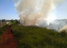 Fotos: Sidnei Bronka/Ligado Na Notícia