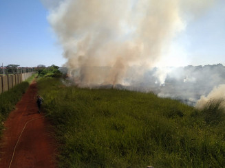 Fotos: Sidnei Bronka/Ligado Na Notícia