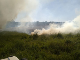 Fogo atinge área de vegetação em Dourados e Sanesul e Bombeiros tentam controlar chamas