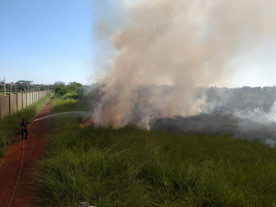 Fogo atinge área de vegetação em Dourados e Sanesul e Bombeiros tentam controlar chamas